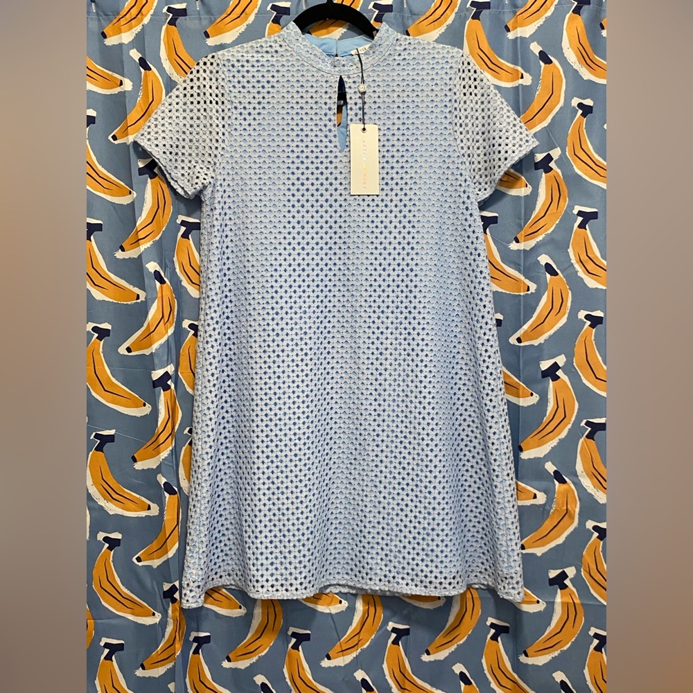 Blue Mini A-line Dress with Flutter Sleeves and Crew Neck